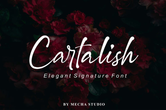Cartalish: The Handwritten Font for Clear Branding