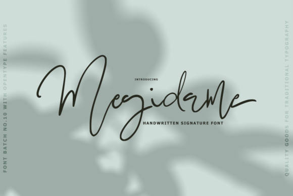 Megidame Font Review for Digital Campaigns