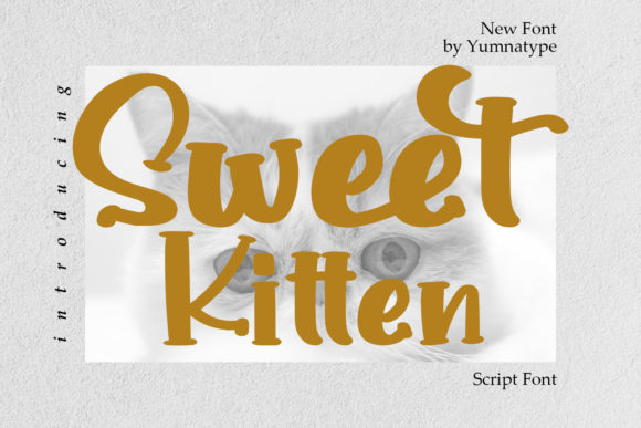 Sweet Kitten Font Review for Bold Branding